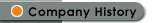 Company History